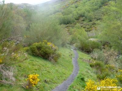 Montaña Palentina-Fuentes Carrionas;ruta de carlos v la silla de felipe ii bola del mundo madrid en